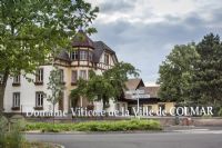 Mini Foire Aux Vins De Colmar. Du 18 au 27 août 2016 à COLMAR. Haut-Rhin.  11H00